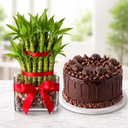 Lucky Treats Surprise